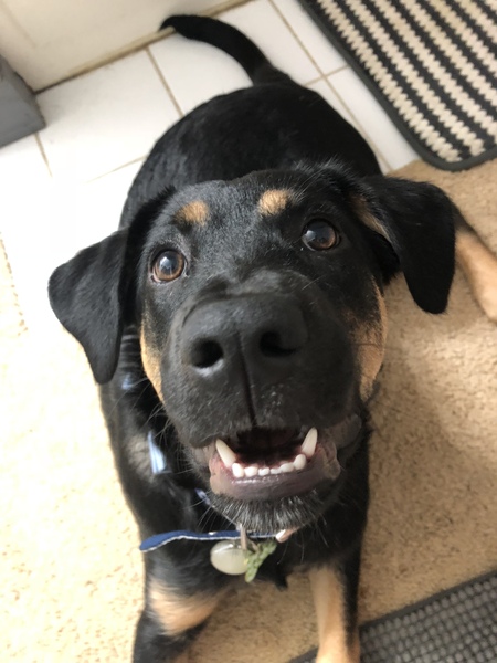 Entry image for Neutron. Clicking this image will show a larger photo