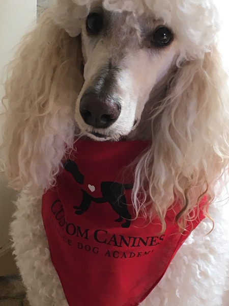 Entry image for Sadie. Clicking this image will show a larger photo