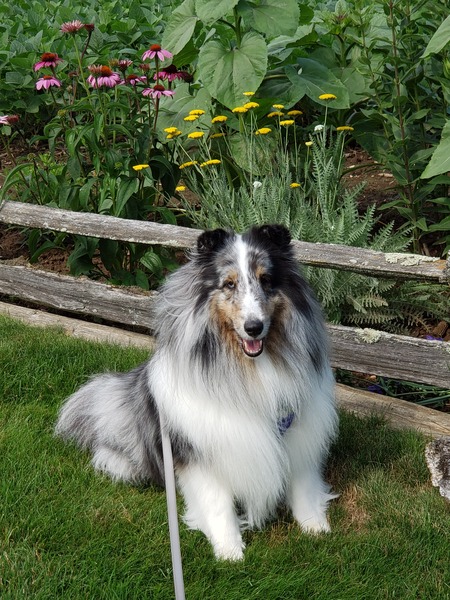 Entry image for Wyatt. Clicking this image will show a larger photo