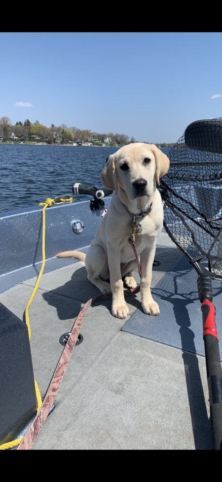 Entry image for Yelich (Yeli). Clicking this image will show a larger photo