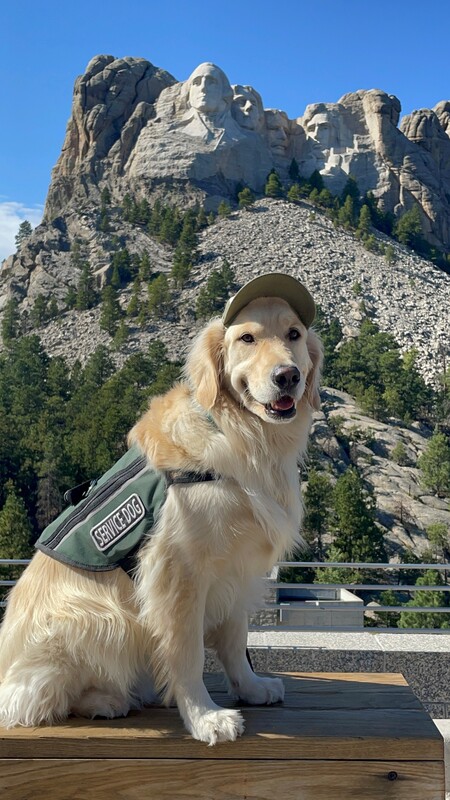 Entry image for Whiskey. Clicking this image will show a larger photo