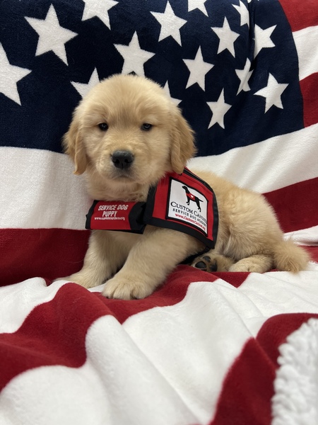 Entry image for Mia. Clicking this image will show a larger photo