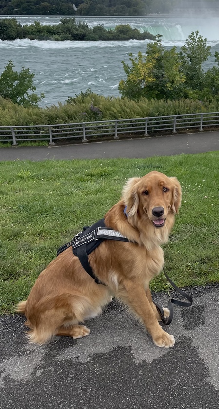 Entry image for Guinness . Clicking this image will show a larger photo