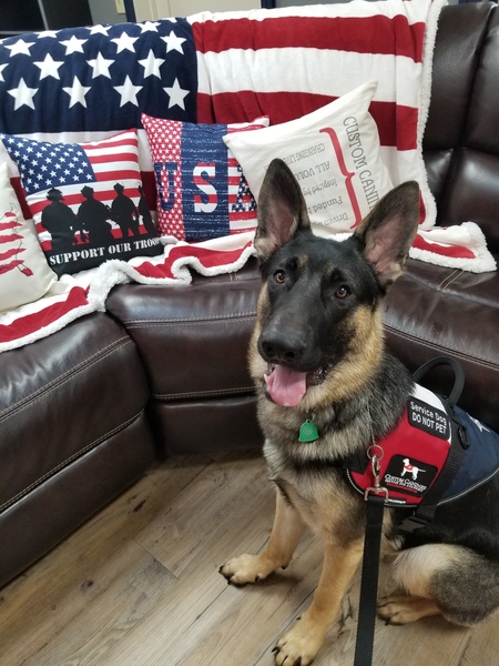 Entry image for Baldur. Clicking this image will show a larger photo