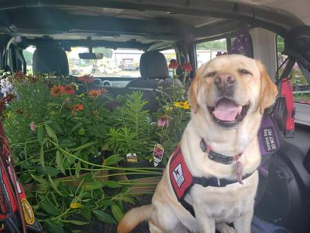 Entry image for Echo . Clicking this image will show a larger photo