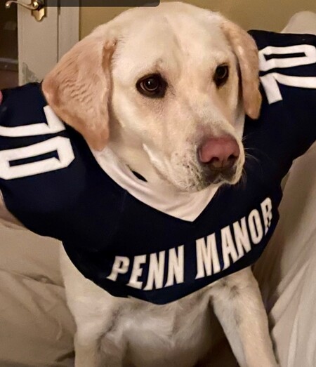 Jersey Basile