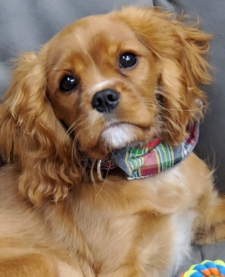 Indy Edgar