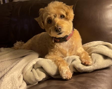 Leo “Bubby” Palermo