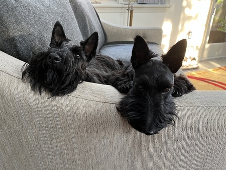 Tucker & Grace Kettering