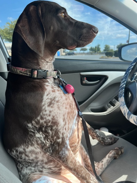 Nala Armold