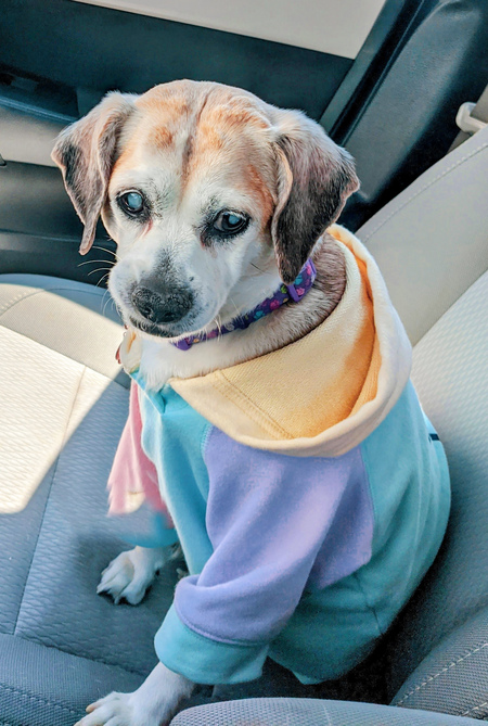 Zoey Sumpman