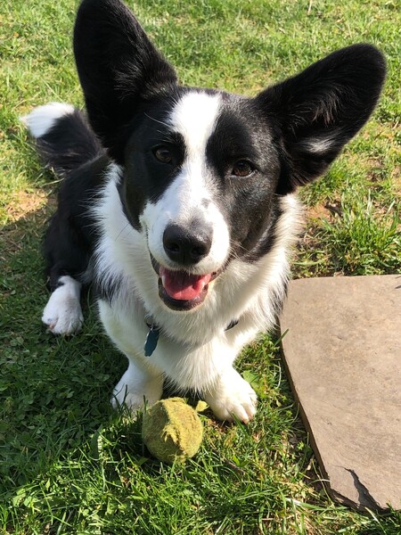 Stella Burnett