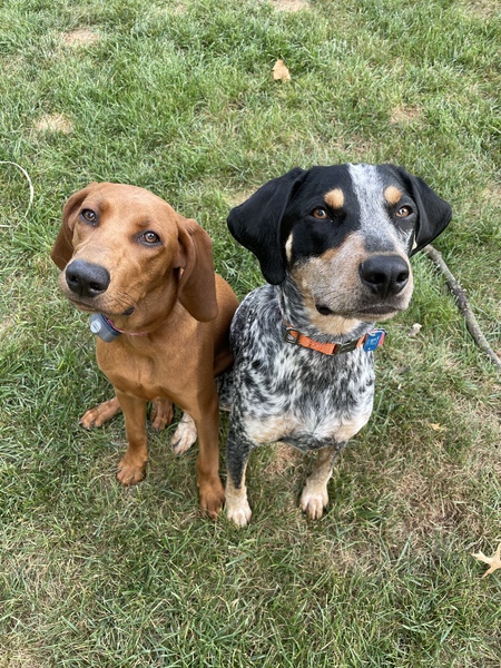 Molly and Otis Ward 