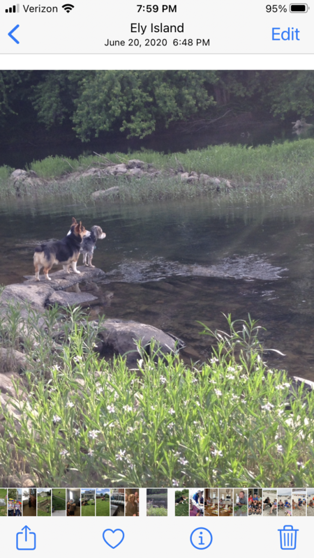 Murphy and Stud Bigler