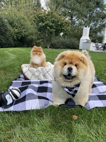 Olive and Leonardo Iannello