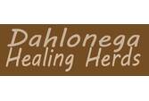 Dahlonega Healing Herds