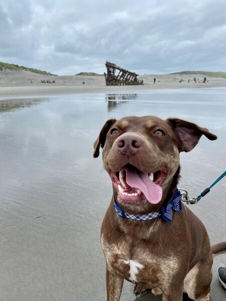 Rufus