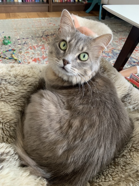 Lucy
