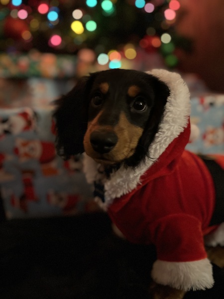 Jimmy dean 