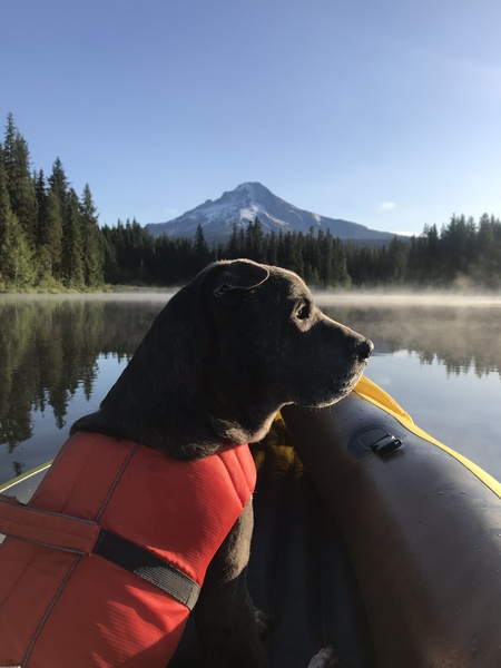 Duncan