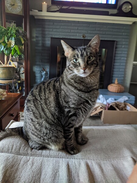 Gus