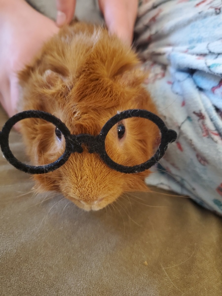 Peter