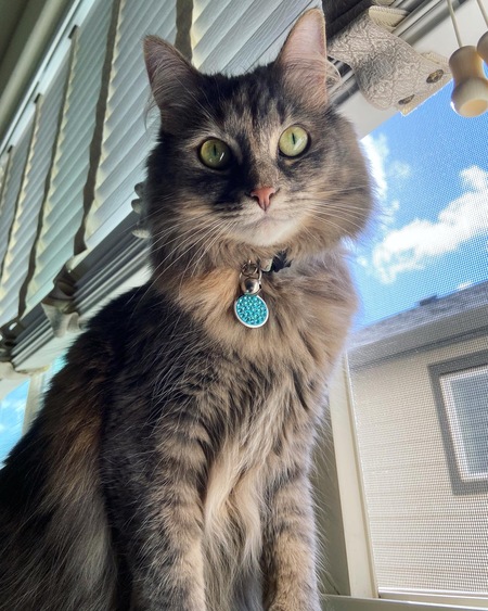 Winnie