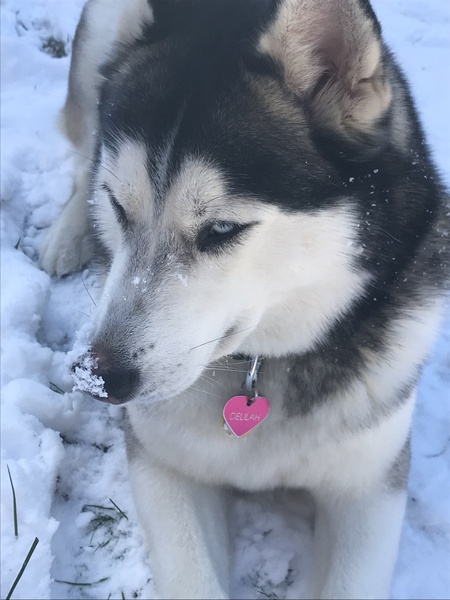 Delilah