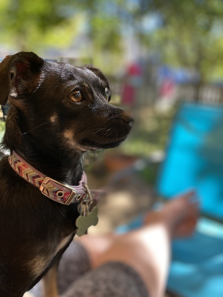 Sadie 