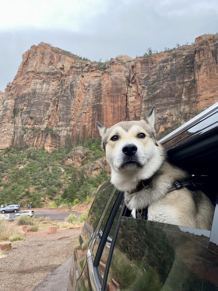 Zion