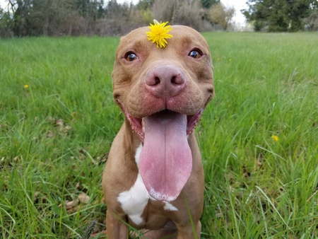 Archer