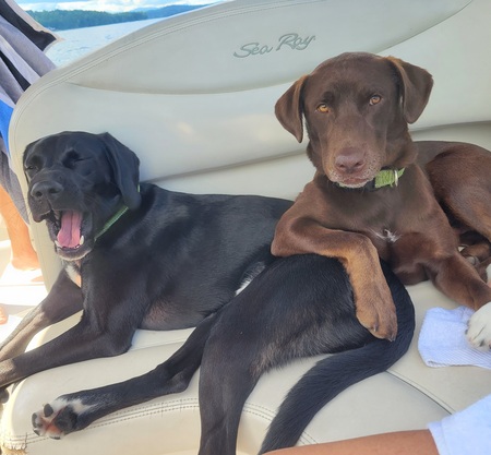 Jethro and Ranger