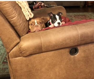 Sunni and Rowdy