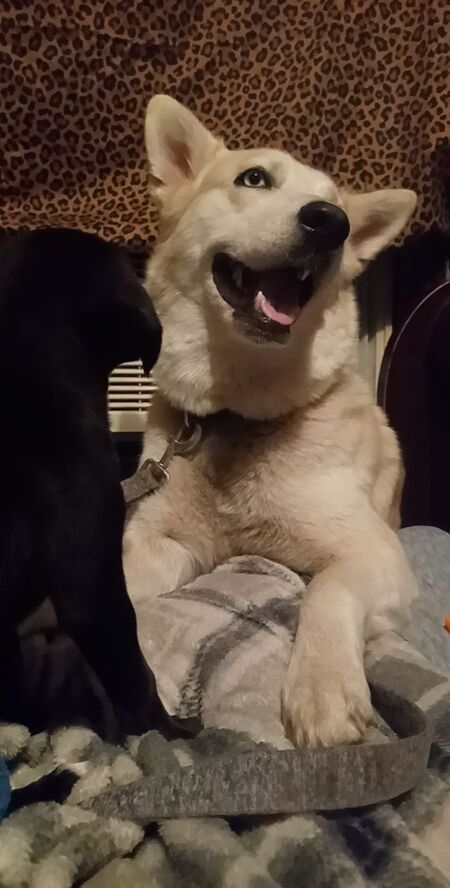 Luna
