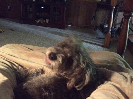 Axel...aka boo boo