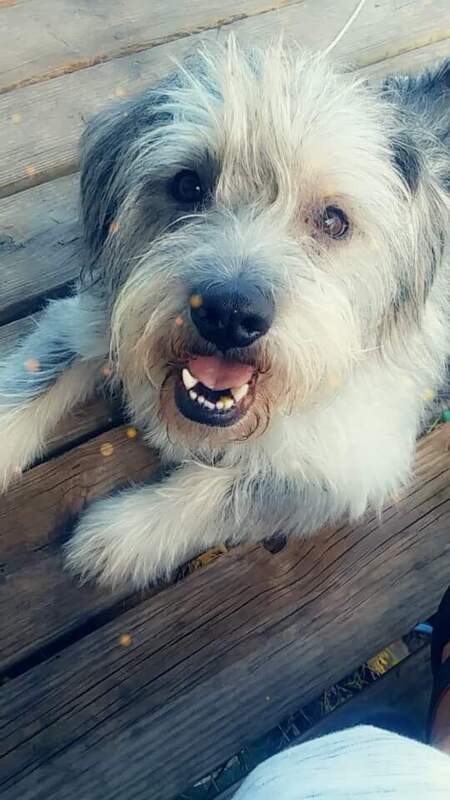 Charlie