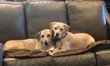 Waylon & Willie