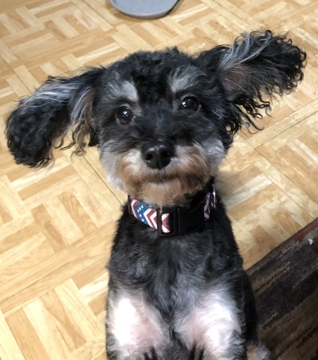 Gabby