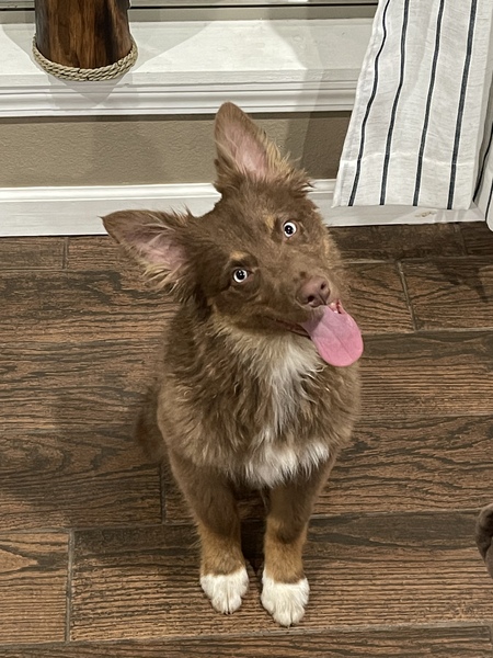 Rudy