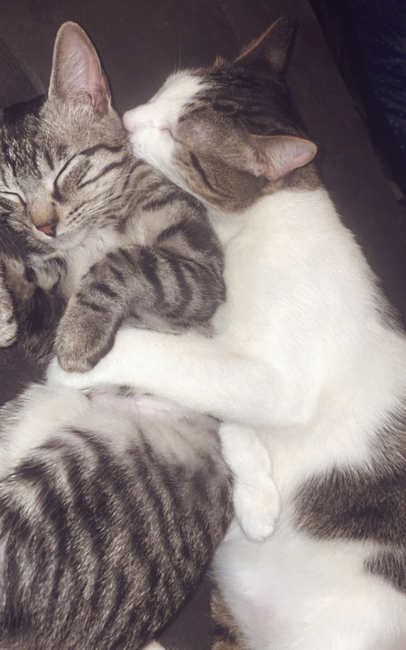 Spike & Salem 