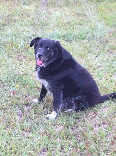 Duke