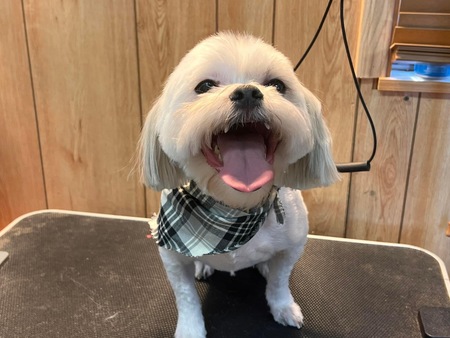 Zeke