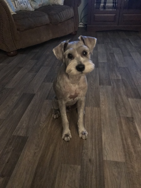 Archie