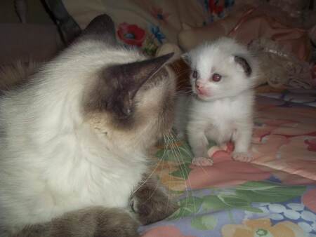 Tawnie & Terrie