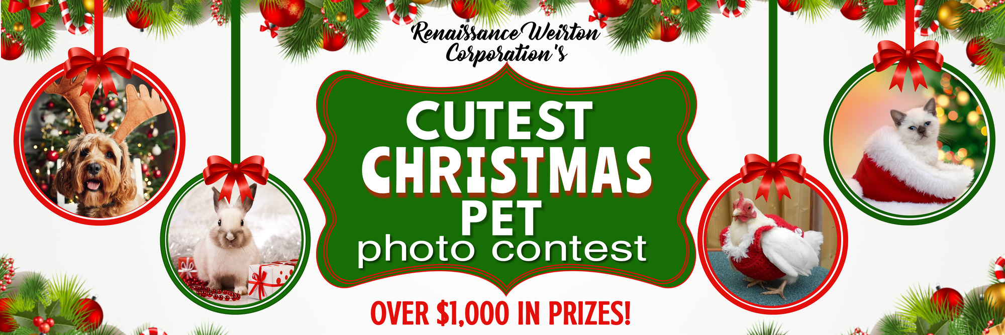 fRules | Renaissance Weirton Corporation | Cutest Christmas Pet Photo