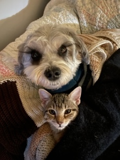 Molly and Coco