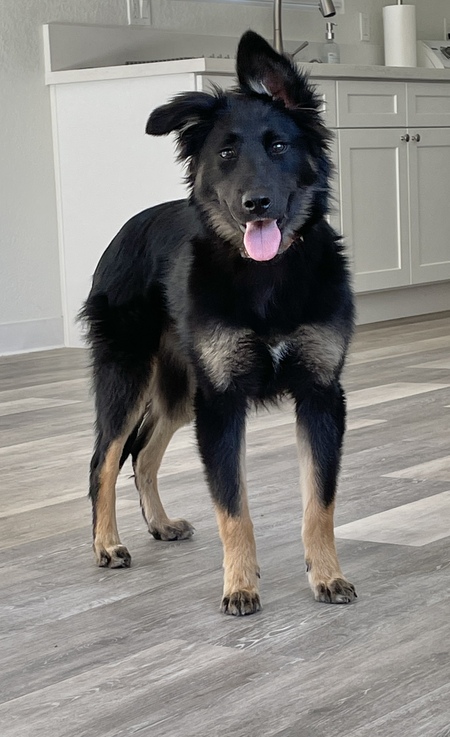 Luca