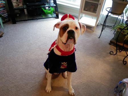 Zeus