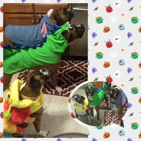 Franky, Daisy, & CBR Alumni Chevy