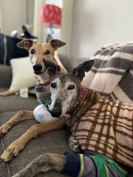Chloe and Gardenia